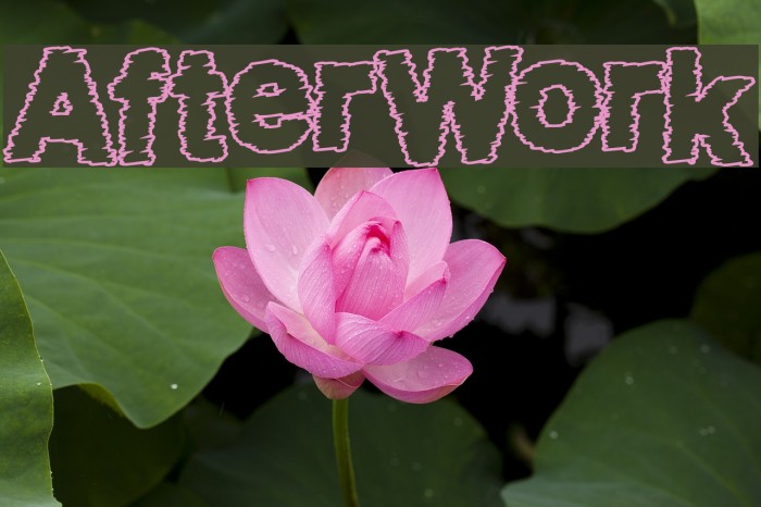 AfterWork फ़ॉन्ट examples
