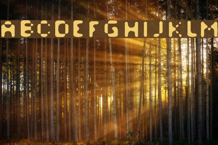 Afterfonts Font examples