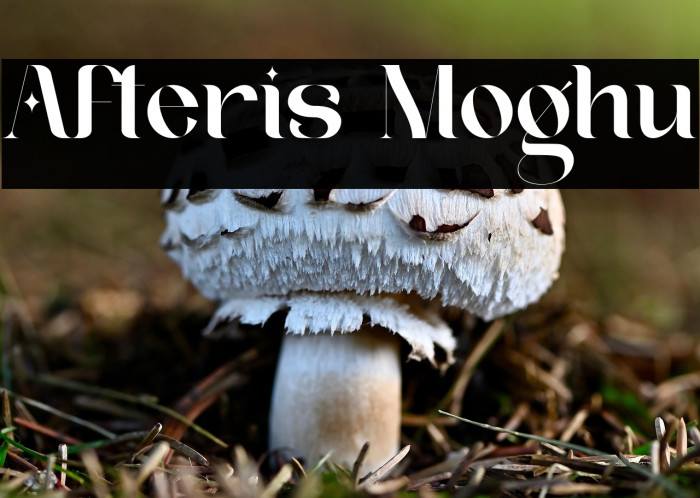 Afteris Moghu Example 1