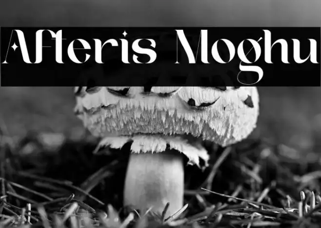 Afteris Moghu Example 1