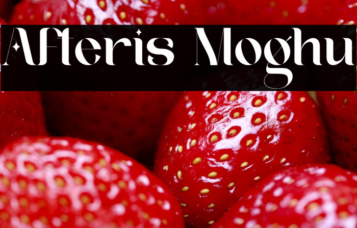 Afteris Moghu Example 2