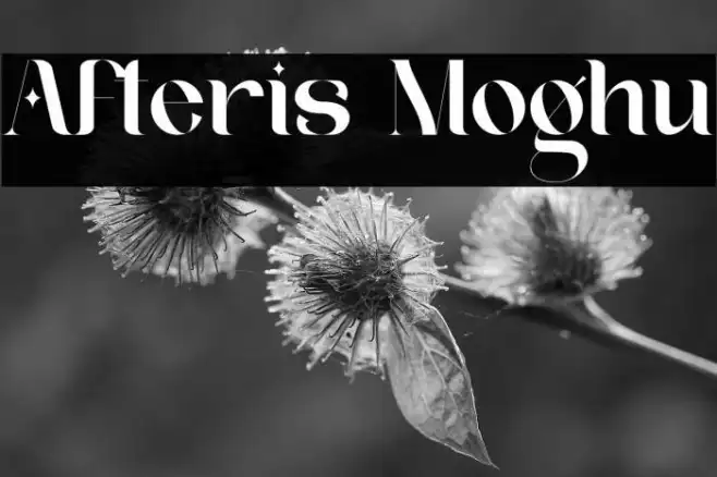Afteris Moghu Example 3