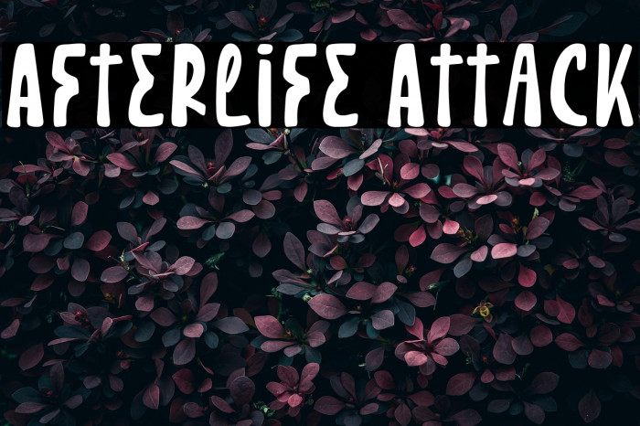 Afterlife Attack Example 2