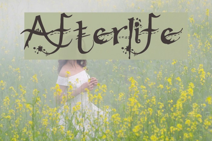 Afterlife Font examples