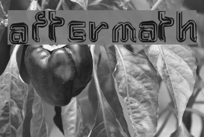 Aftermath Font examples