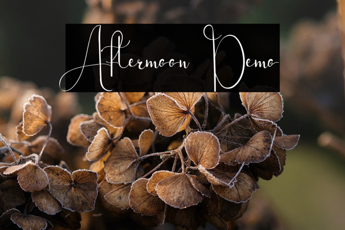 Aftermoon Demo Example 3