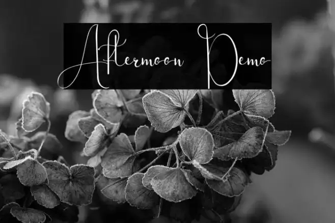 Aftermoon Demo Example 3