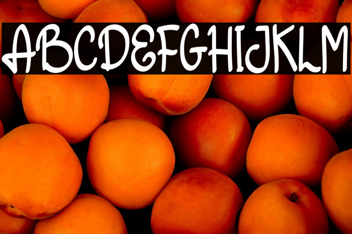 Afternoon Christmas Example 2