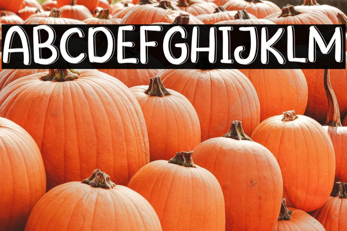 Afternoon Farmhouse Example 2