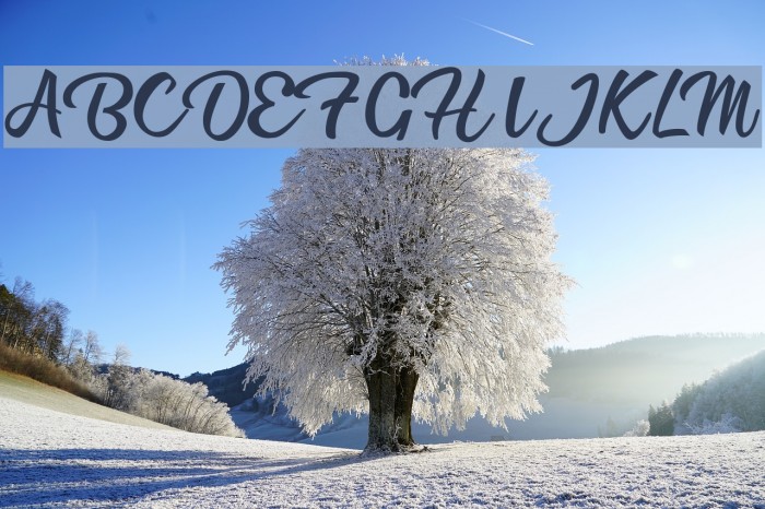 Afternoon in Stereo Personal Use Regular Font examples