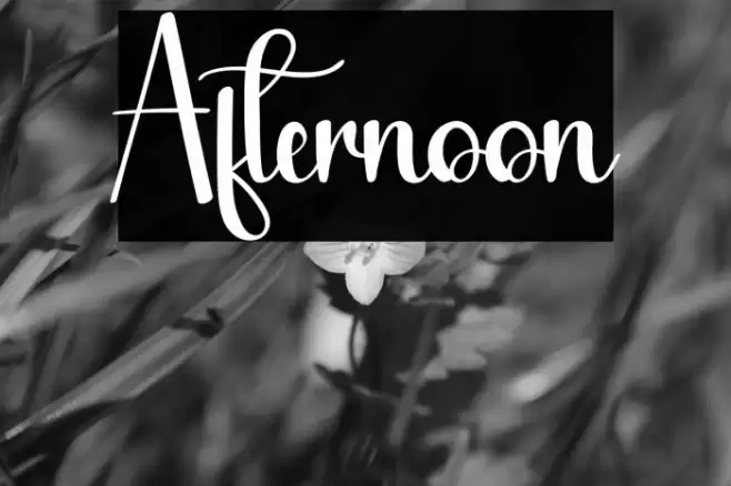 Afternoon फ़ॉन्ट examples
