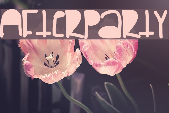Afterparty Font examples