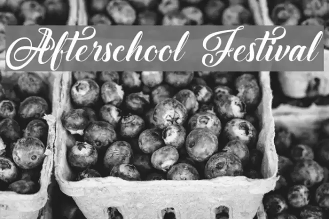 Afterschool Festival Font examples