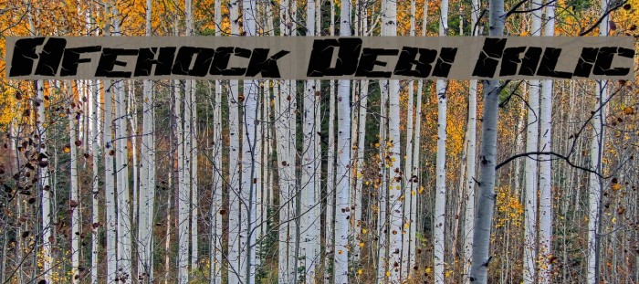 Aftershock Debris Italic Fonte examples
