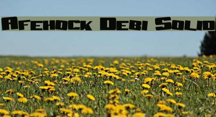 Aftershock Debris Solid Font examples