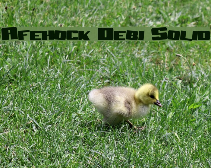 Aftershock Debris Solid Font examples