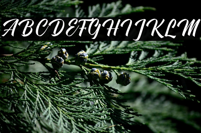 Aftershock Example 2