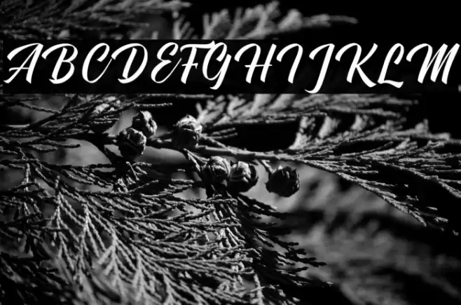 Aftershock Font examples