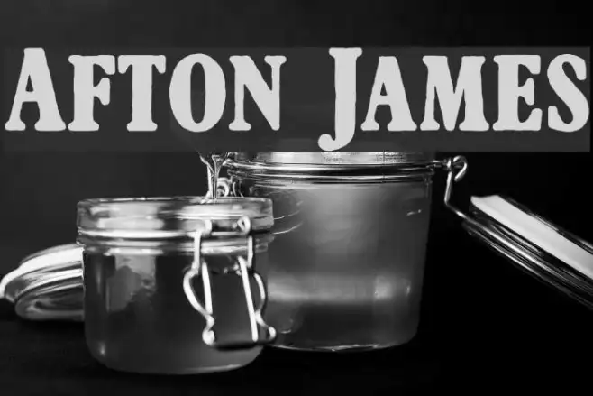Afton James Example 1