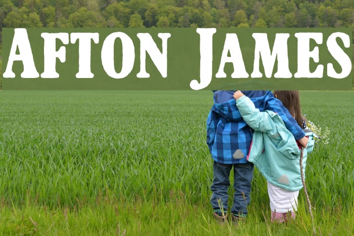 Afton James Font examples