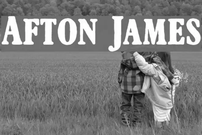 Afton James Example 2