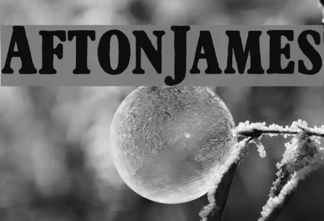 AftonJames Fonte examples