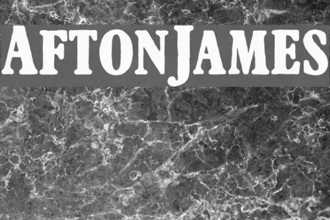 AftonJames Fonte examples