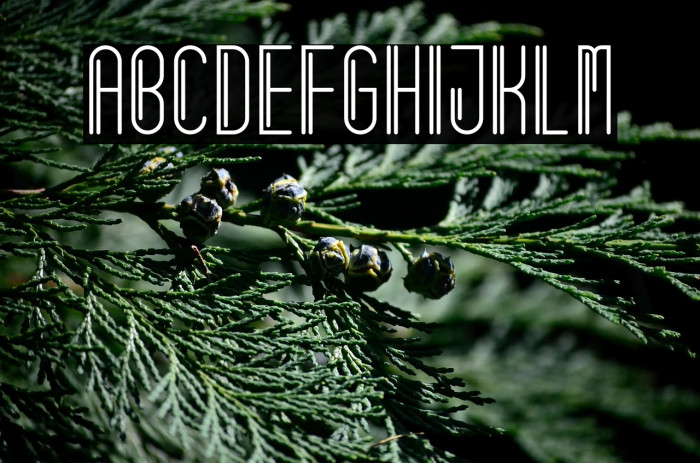 Aftur Seven Example 3