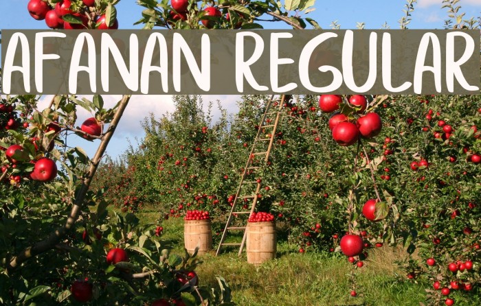 afanan Regular Font examples