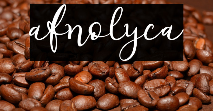afnolyca Example 1