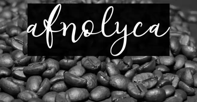 afnolyca Font examples