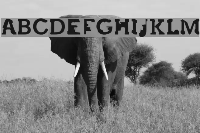 after 45' Font examples