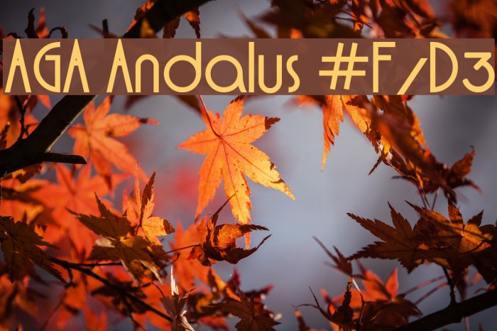 AGA Andalus #F/D3 Font examples