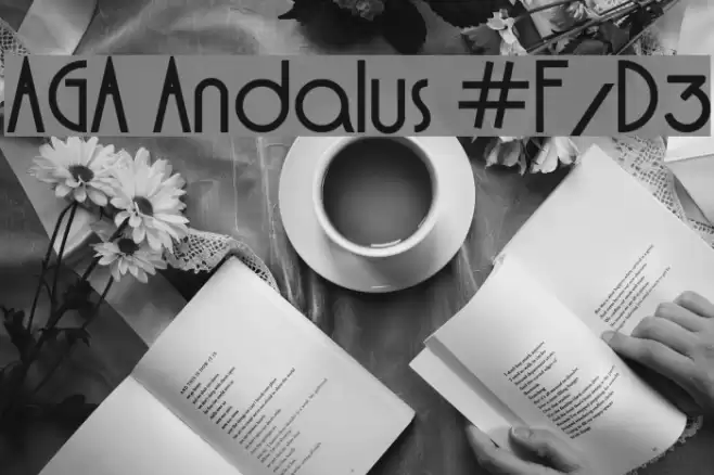 AGA Andalus #F/D3 フォント examples