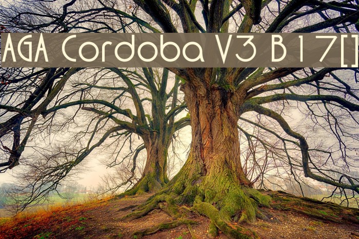 AGA Cordoba V3 B17[] Example 1