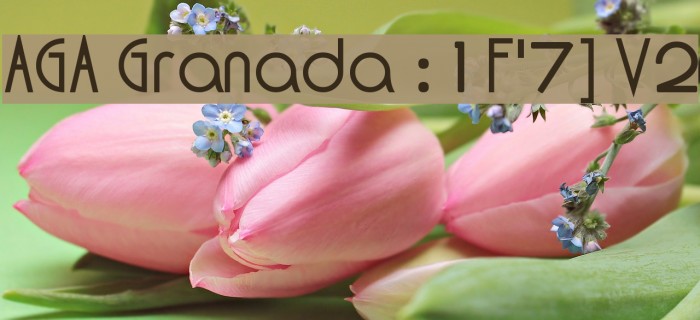 AGA Granada :1F'7] V2 Example 2