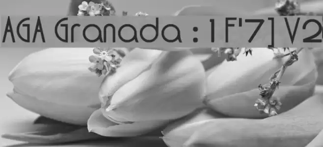 AGA Granada :1F'7] V2 Font examples