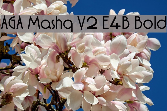 AGA Mashq V2 E4B Bold Font examples