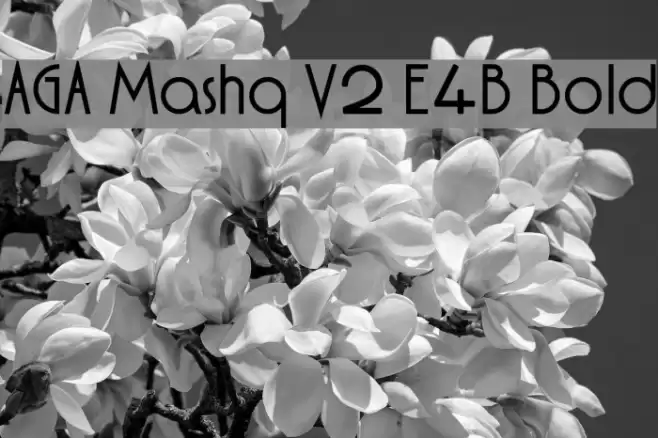 AGA Mashq V2 E4B Bold Schriftart examples