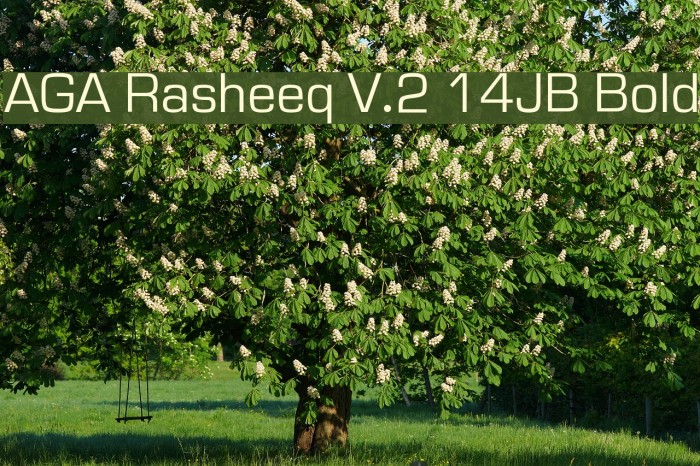 AGA Rasheeq V.2 14JB Bold Font examples