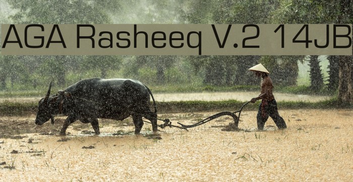 AGA Rasheeq V.2 14JB Font examples