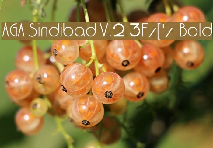 AGA Sindibad V.2 3F/['/ Bold Font examples