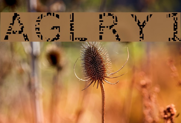 AGLRY 1 Font examples