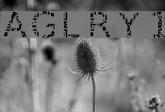 AGLRY 1 Example 1