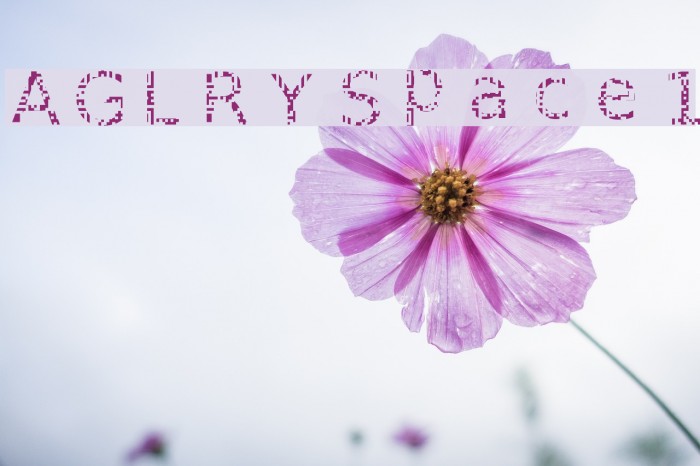AGLRY Space 1 Font examples
