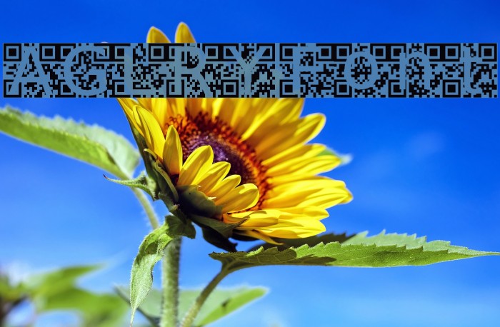 AGLRY फ़ॉन्ट examples