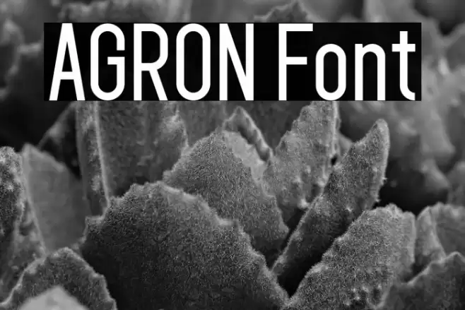 AGRON Font examples
