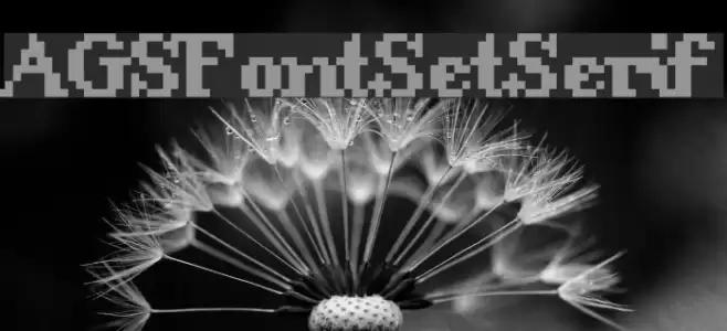 AGSFontSetSerif Font examples