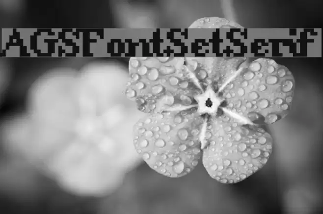 AGSFontSetSerif Font examples