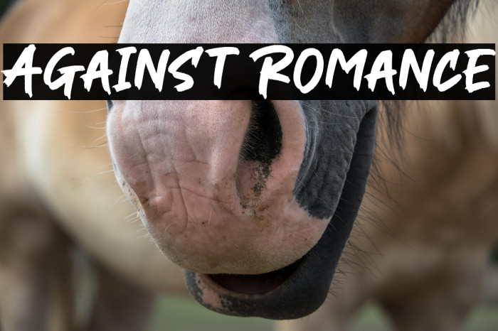 Against Romance Example 3